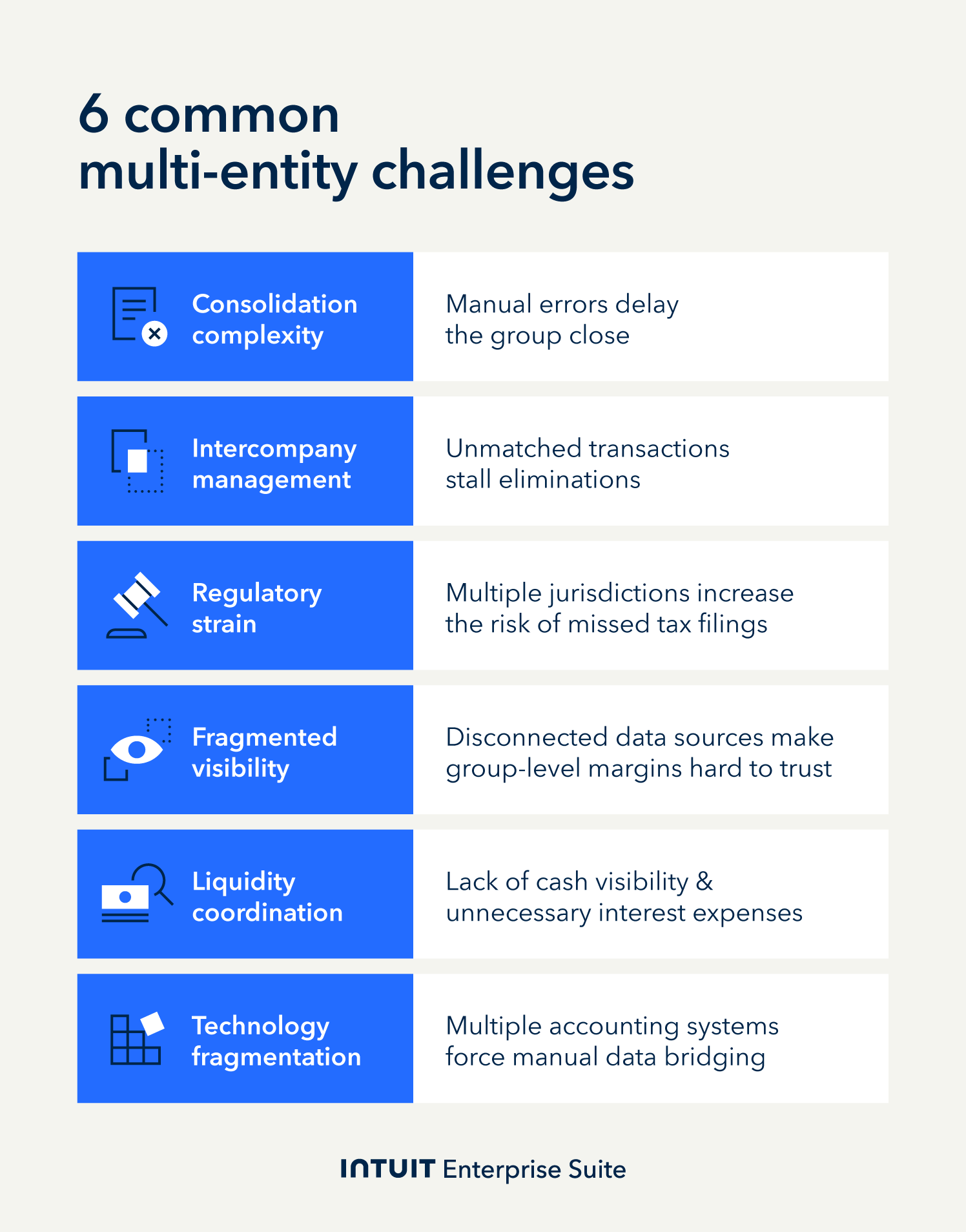 Six Common Multi-Entity Challenges Infographic